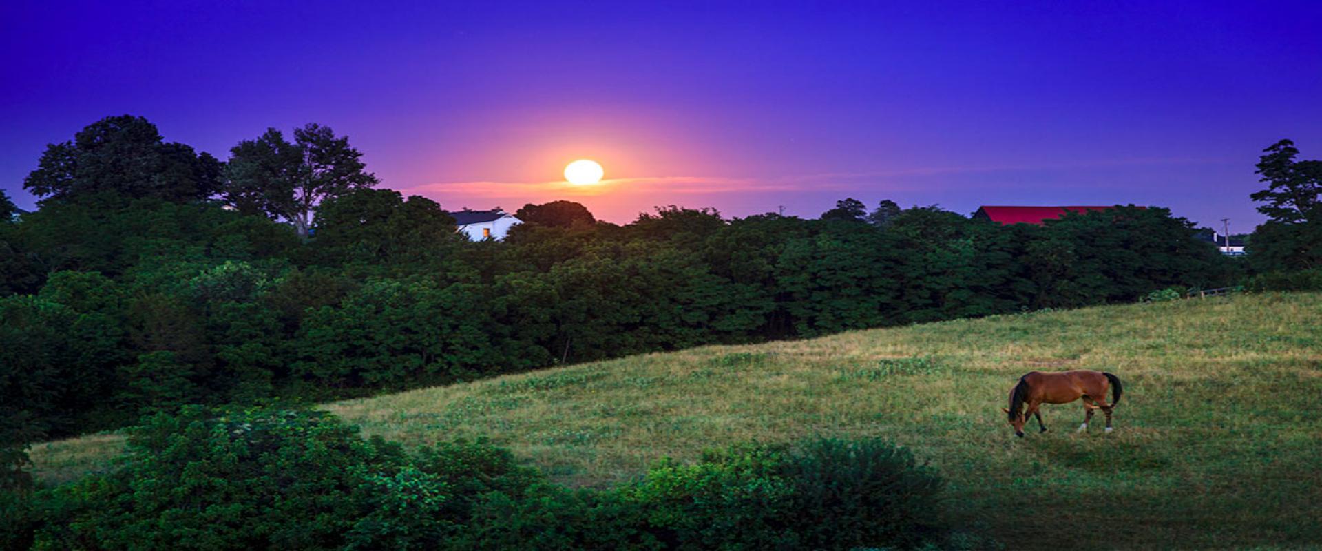 Columbia KY Dumpster Rentals & Garbage Pickup